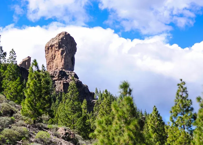 Exclusive Designer In Maspalomas By Pride 플라야 델 잉글스