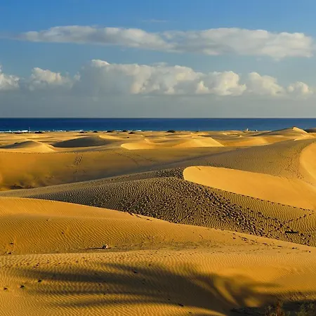 Exclusive Designer In Maspalomas By Pride