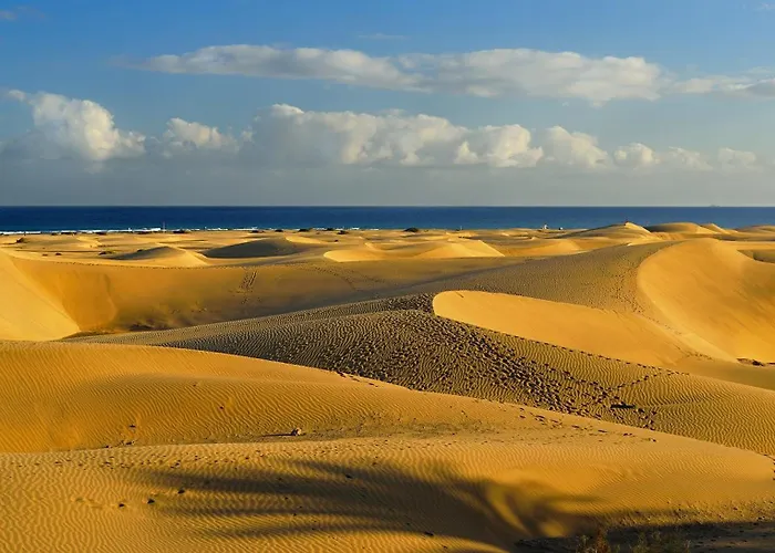 Exclusive Designer In Maspalomas By Pride